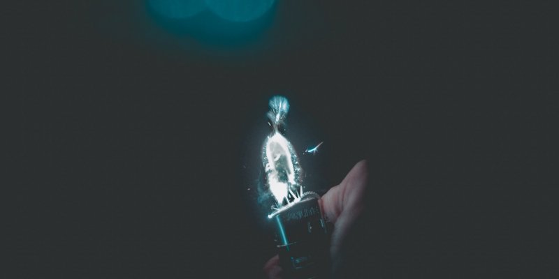 Lighter Magic Gambit